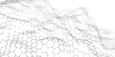 スズメバチ研究の成果が世界に発表されました